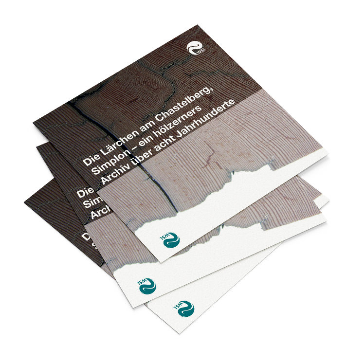 Flyer Lärchen im Wallis - Lärchenwälder in der Schweiz