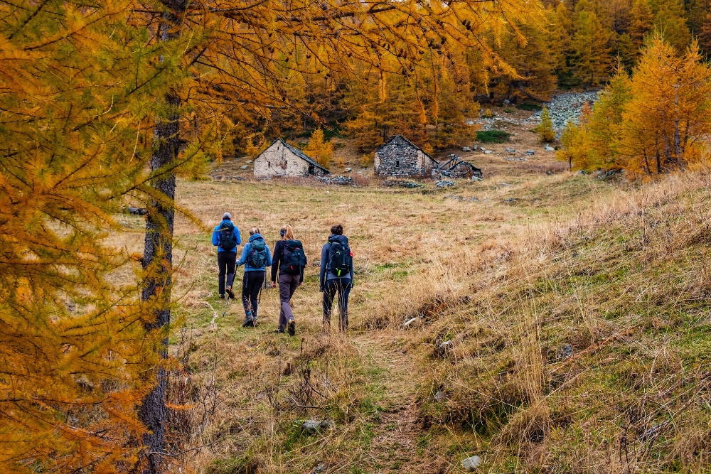 Herbst Pussetta im Zwischbergen