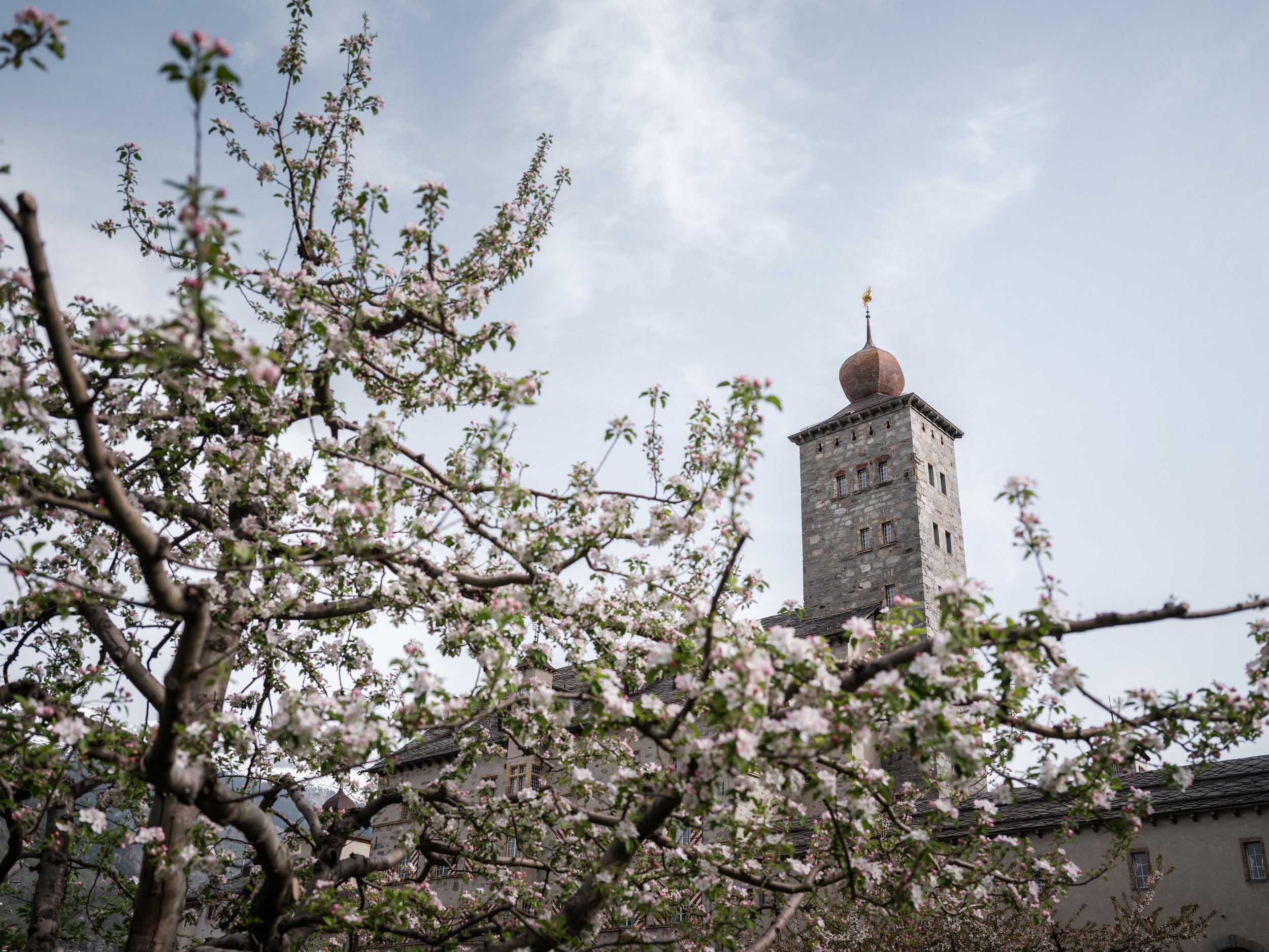Frühling im Stockalperschloss