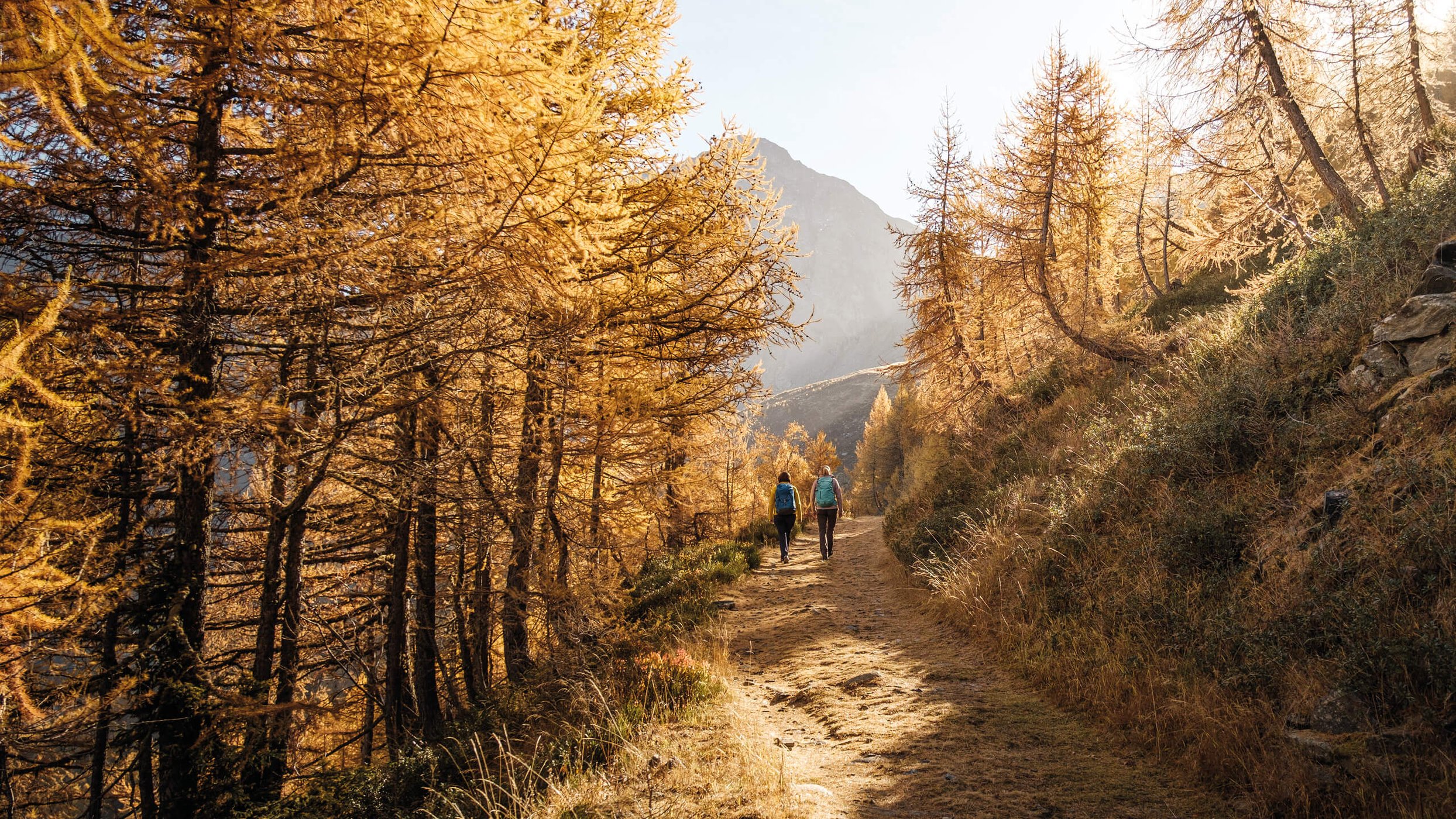 Herbstwandern im Wallis