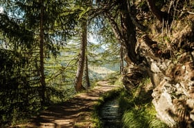 Rosswald: Bergwasser circular trail