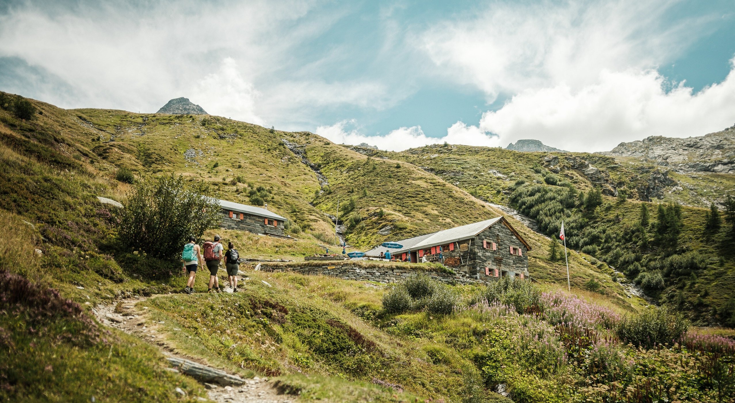Wander Rosswald - Bortelhütte