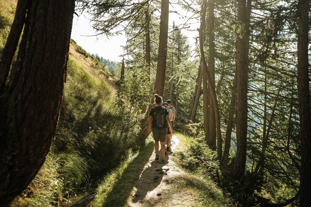 Wander Rosswald - Bortelhütte_9-2