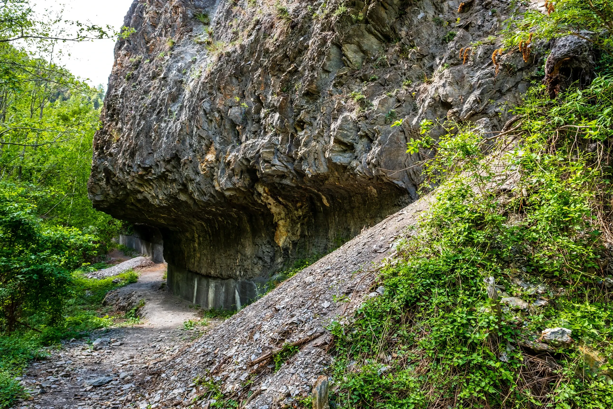 Grindji in Brig