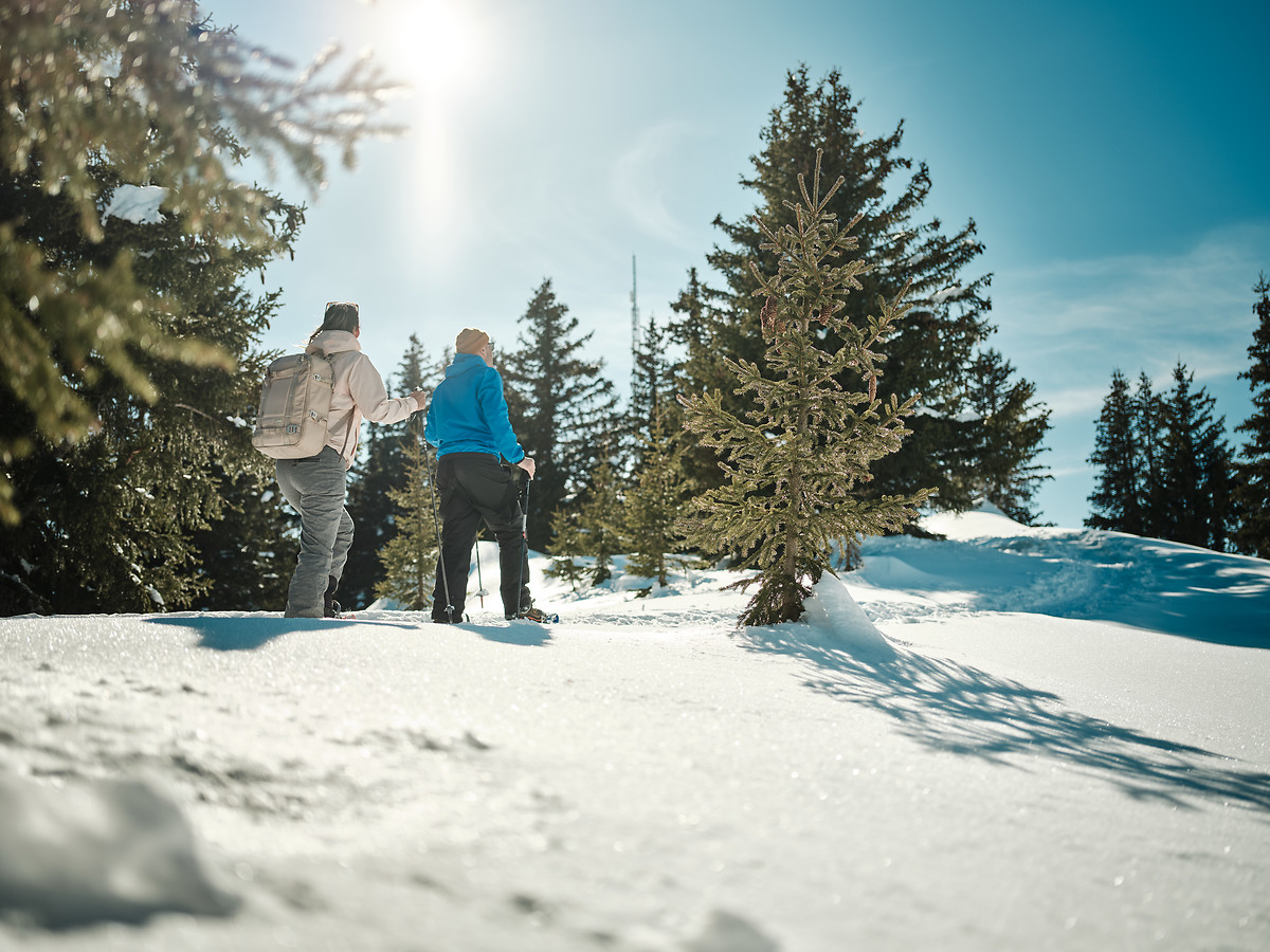 68973-798e189pco-whr